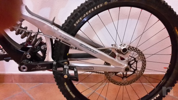 SANTARCUZ -V10- foto-6650