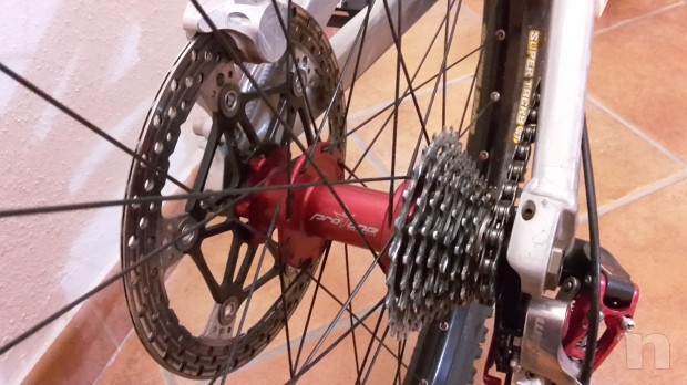 SANTARCUZ -V10- foto-6653