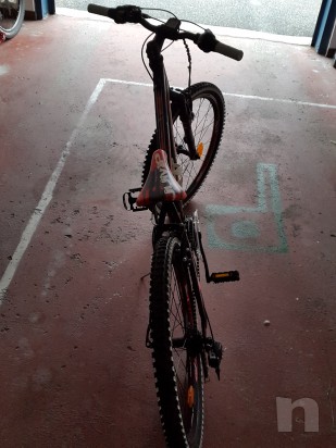 mtb lombardo 24 foto-6670