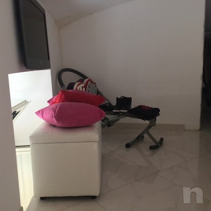 Panca AB KING  foto-3907