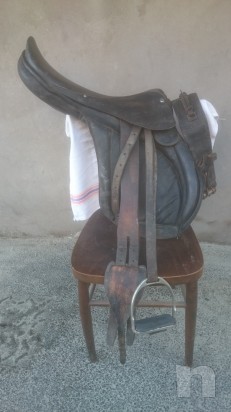 Sella inglese  foto-6987