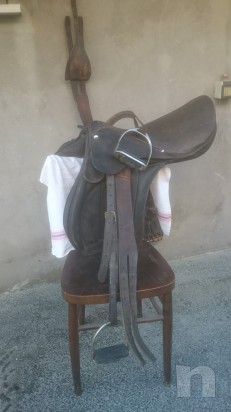 Sella inglese  foto-3953