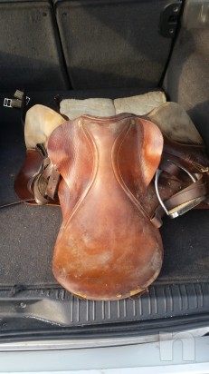 Sella cavallo foto-6996