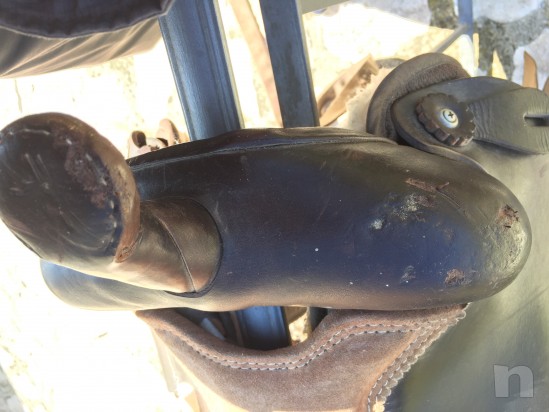 Sella  Brad Ren's foto-7058