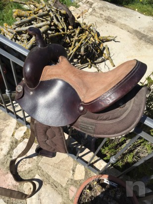 Sella  Brad Ren's foto-7057