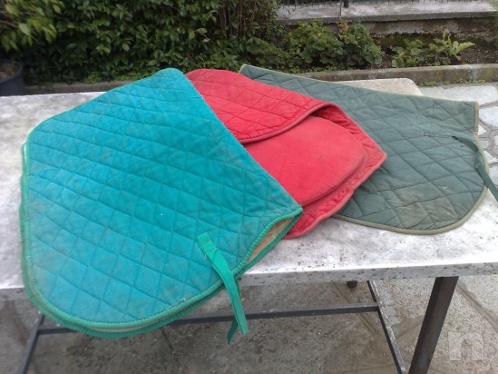 Sella inglese, filetto, e accessori vari foto-7176