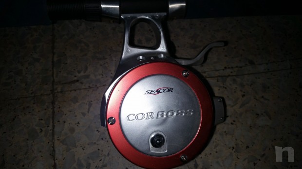 Diverse canne da pesca €50 cad. L una foto-7371