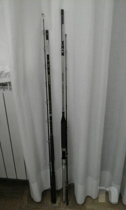 2 canne traina foto-4334