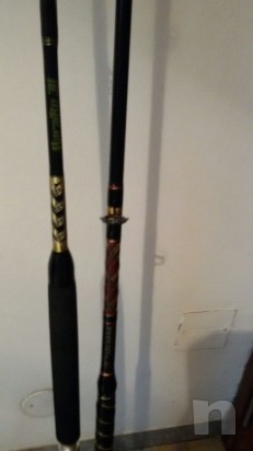 2 canne traina foto-7708