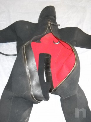 Muta stagna foto-4439