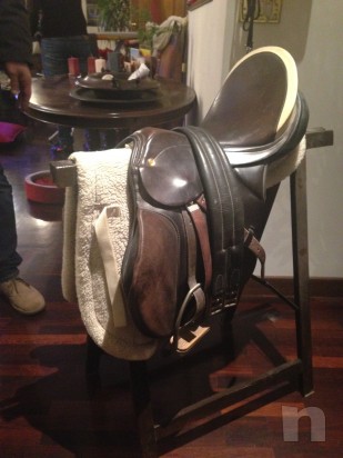 Sella da salto foto-444