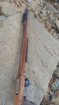 Arbalete legno Shark80 Fusion 2  foto-7932