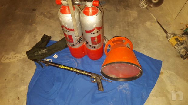 Bibo aralu foto-4493