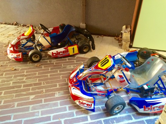 Easy Kart 100cc IAME  foto-8059