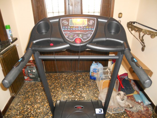 Tapis Roulant foto-533