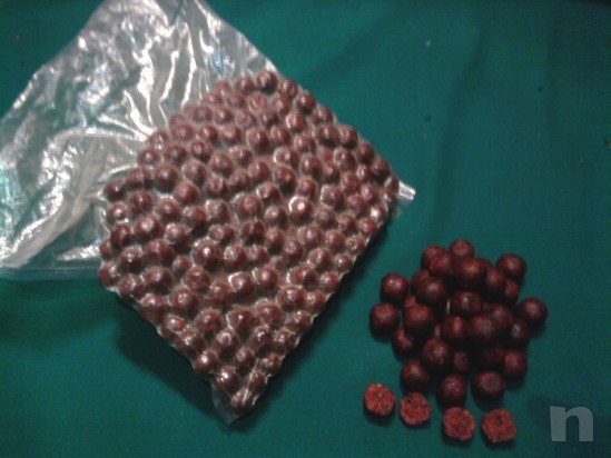 carpfishing boilies self-made choco/tangerine + robin red foto-4693