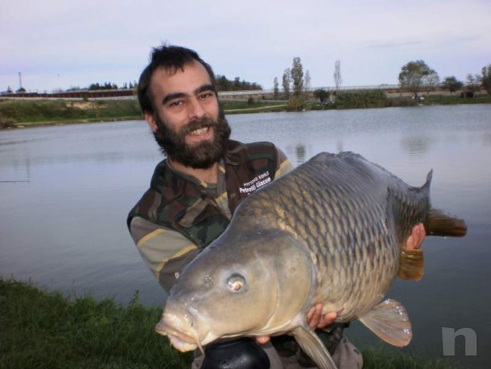 carpfishing boilies self-made choco/tangerine + robin red foto-8397