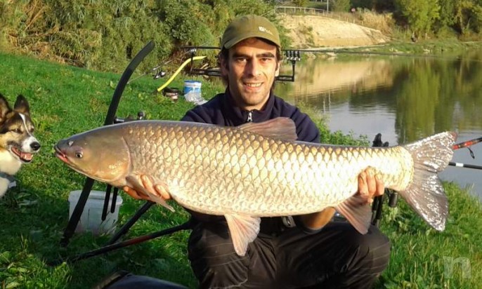 carpfishing boilies self-made choco/tangerine + robin red foto-8398