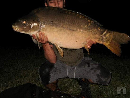 carpfishing boilies self-made choco/tangerine + robin red foto-8396