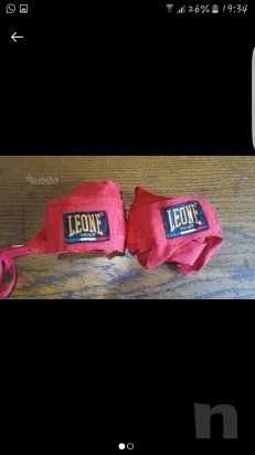 Fascette Leone foto-8425