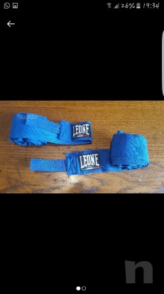 Fascette Leone foto-4715