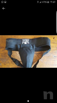 Para testicoli leone foto-4716