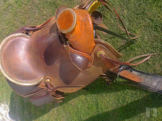 Sella monta western  foto-8654