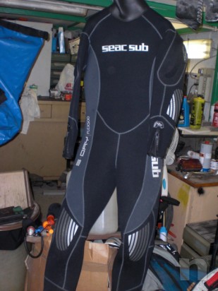 muta semistagna foto-5068