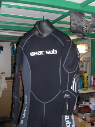 muta semistagna foto-9021