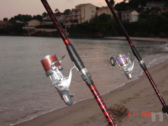 DAIWA TOURNAMENT BASIA QD45 foto-9159