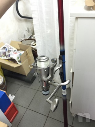 Canne LINEAEFFE foto-5287