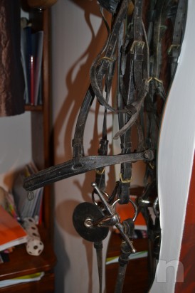 finimenti e abbigliamento equitazione foto-679