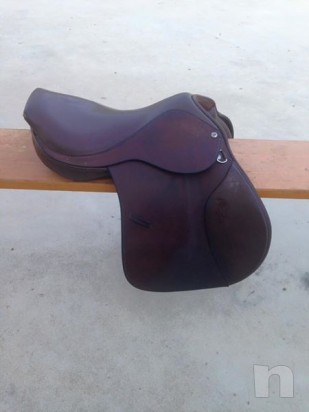 Sella inglese 17'' foto-9510