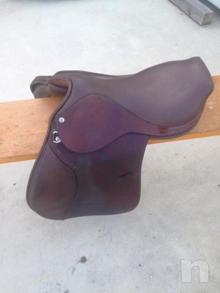 Sella inglese 17'' foto-9511