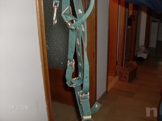 CAVEZZA E LONGHINA CAVALLO foto-9528