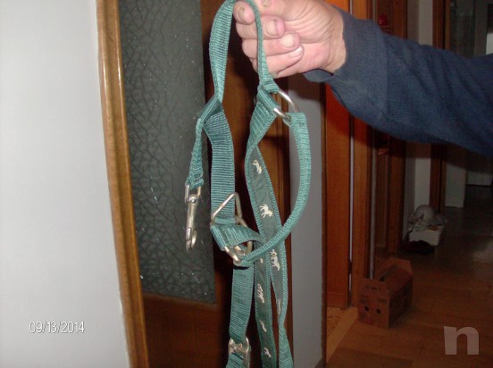 CAVEZZA E LONGHINA CAVALLO foto-5355