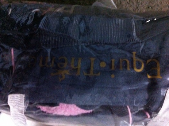 Copwrte x cavalli foto-9696