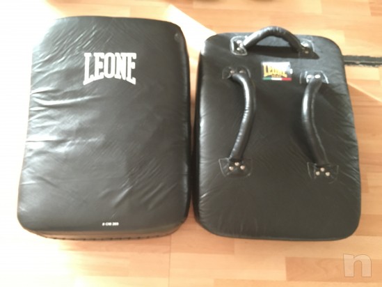 Scudi Leone boxe  foto-9790