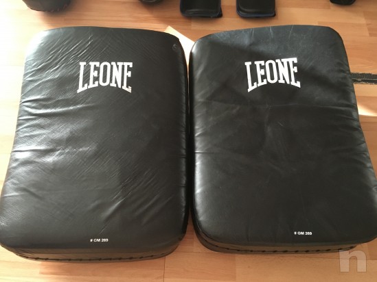 Scudi Leone boxe  foto-5533