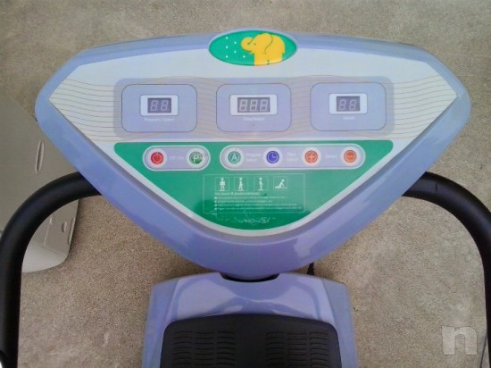 PEDANA VIBRANTE FITNESS  foto-9847