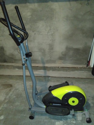 Ellittica diadora foto-9894