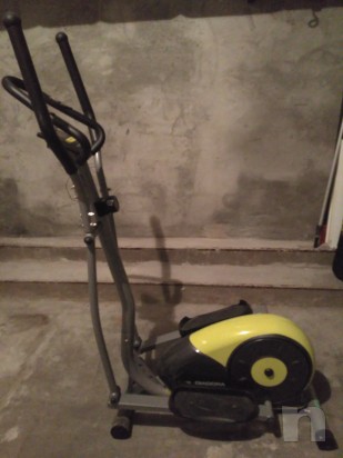 Ellittica diadora foto-5590