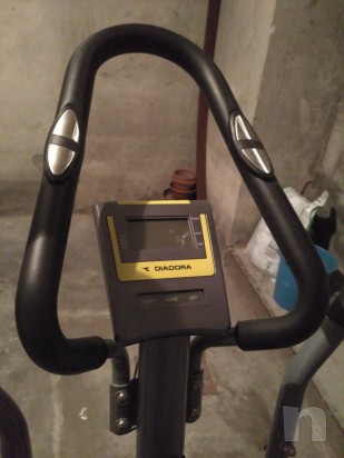 Ellittica diadora foto-9895