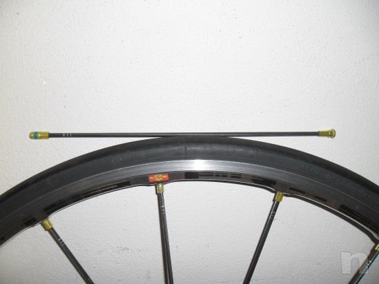 raggio in carbonio per ruota mavic foto-5698