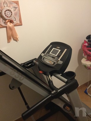 Tapis rouland foto-751