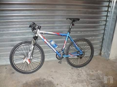 bottecchia FX 560 foto-581
