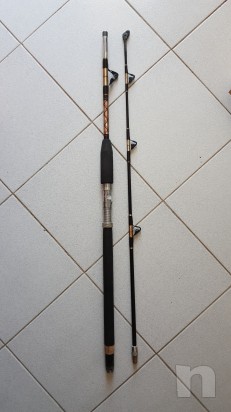 Canna da traina pesante 50lbs Lineaeffe  foto-5924