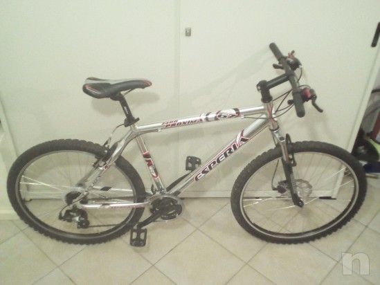 MTB del 26 con 21 velocità telaio in Aluminio cambio Shimano foto-10561