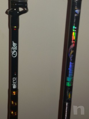 2 canne traina foto-5942