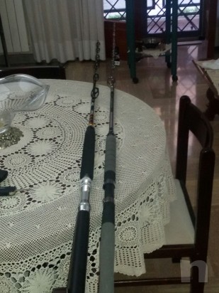 2 canne traina foto-10581